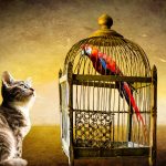 bird_in_a_golden_cage